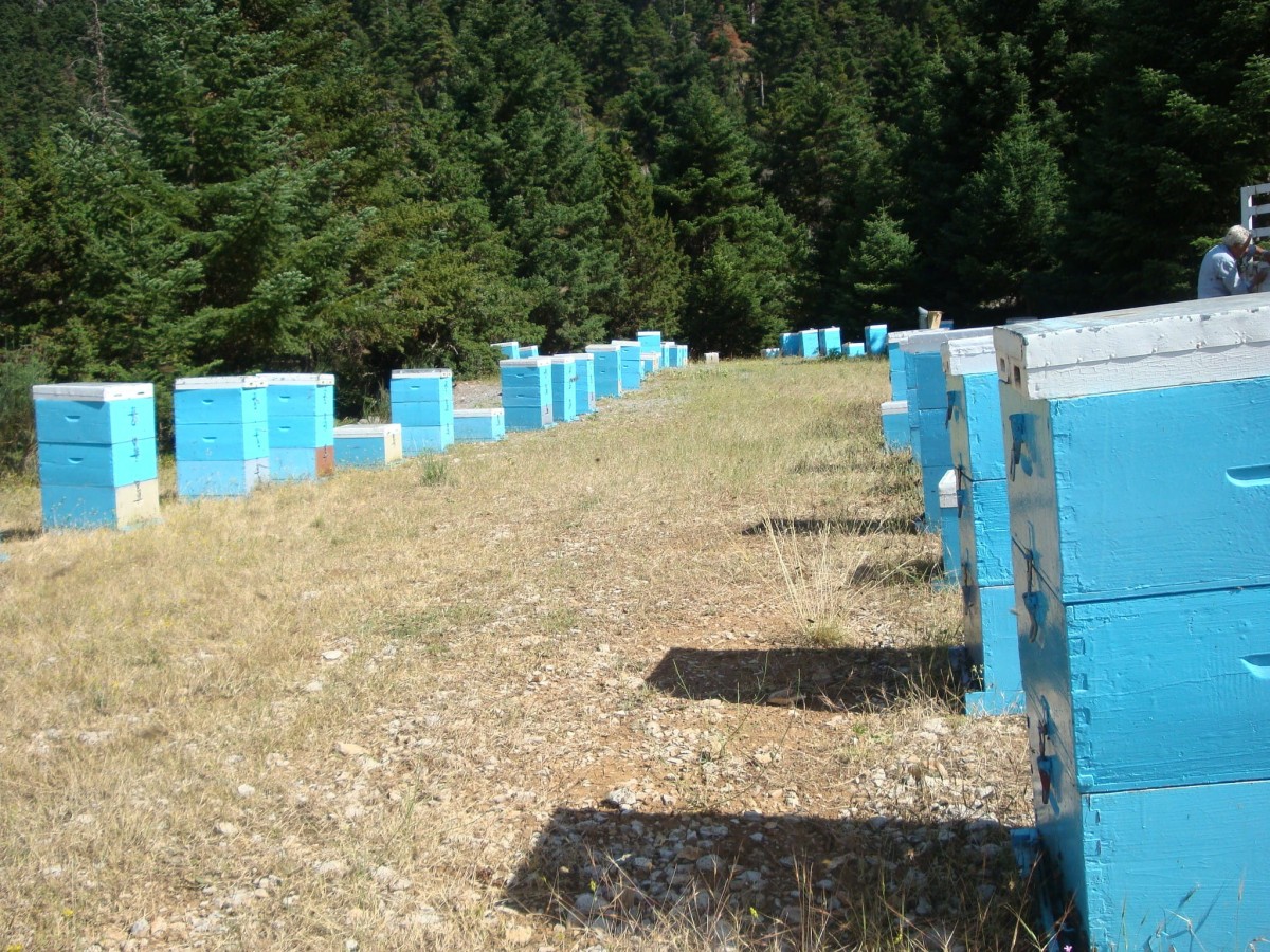 00838581e65b091c0ef1db6d35ebcc67