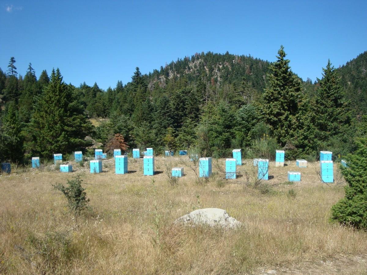 f0b26fdd4cde8723b6415cf06f08d715