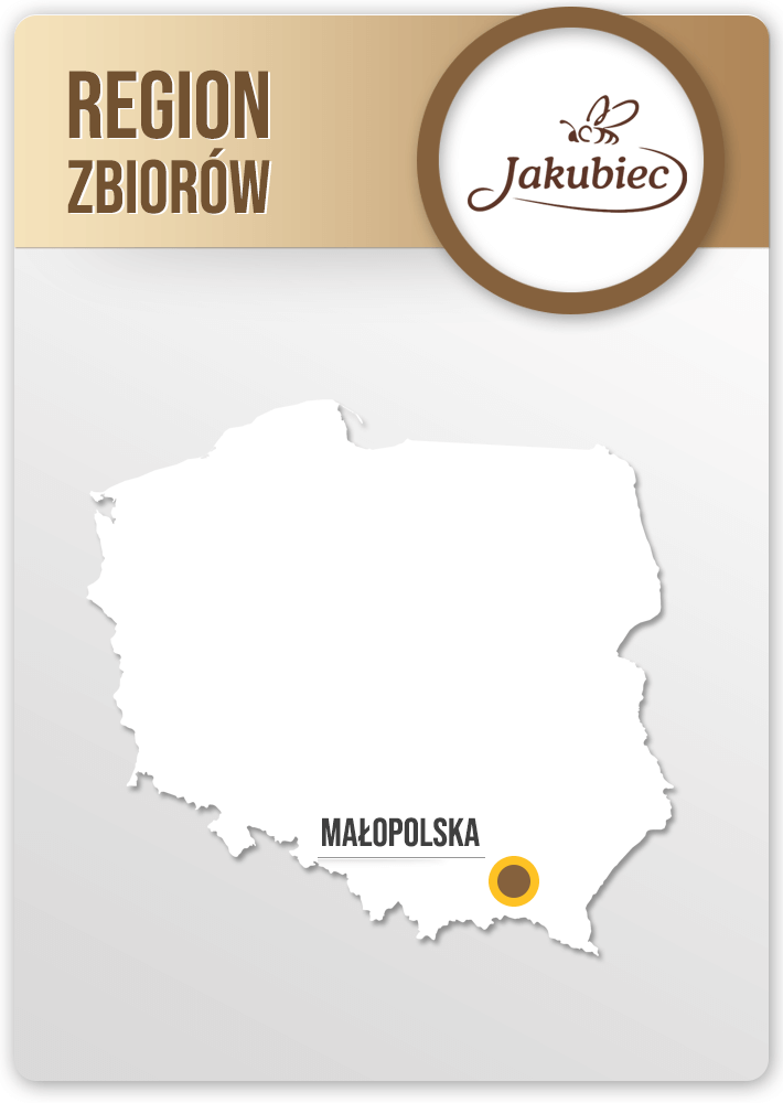 5d6aeb63c113fdf6acf06e52906d08e4