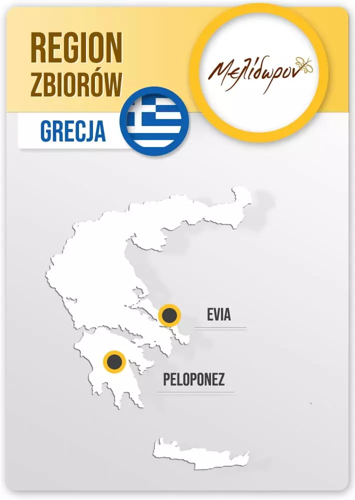miod piniowy region zbiorow (Copy).webp