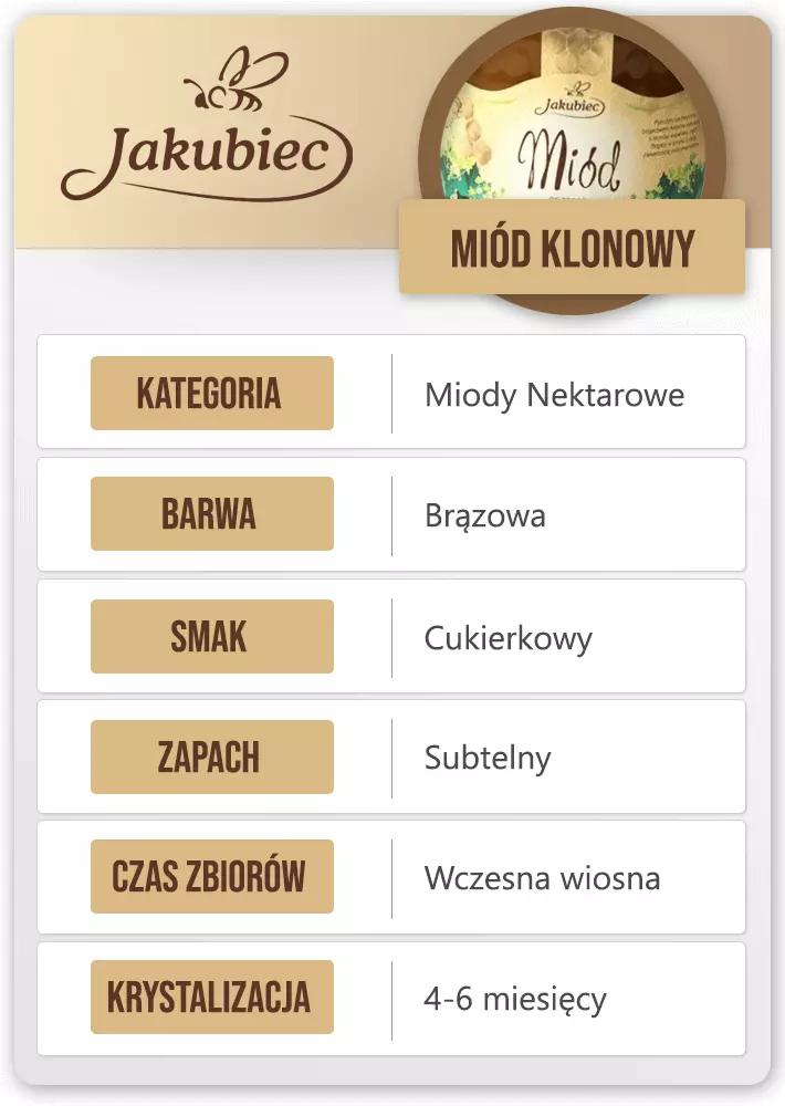 klonowy jakubiec cechy (Copy).webp